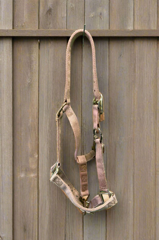 Nylon Halter- Pony
