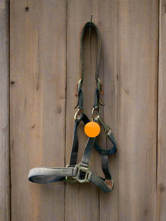 Nylon Halter w/Leather Crown-Horse