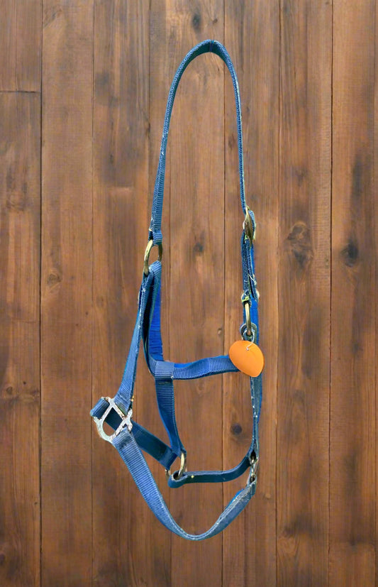 Nylon Halter- Horse