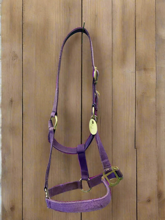 Nylon Halter- Horse