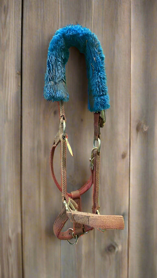 Nylon Halter w/Crown Fuzzy- Horse