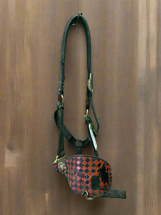 Nylon Halter w/Bronc Nose- Horse