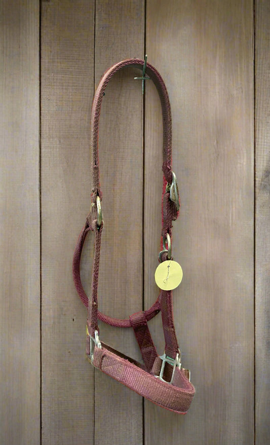 Nylon Halter-Horse