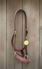 Nylon Halter-Horse