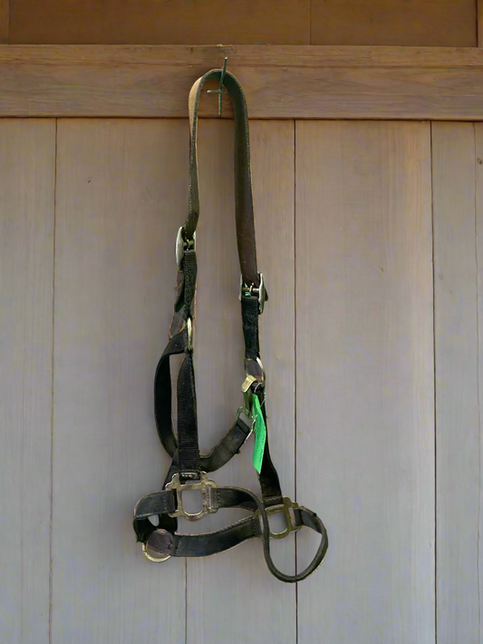 Nylon Halter w/Leather Crown-Horse