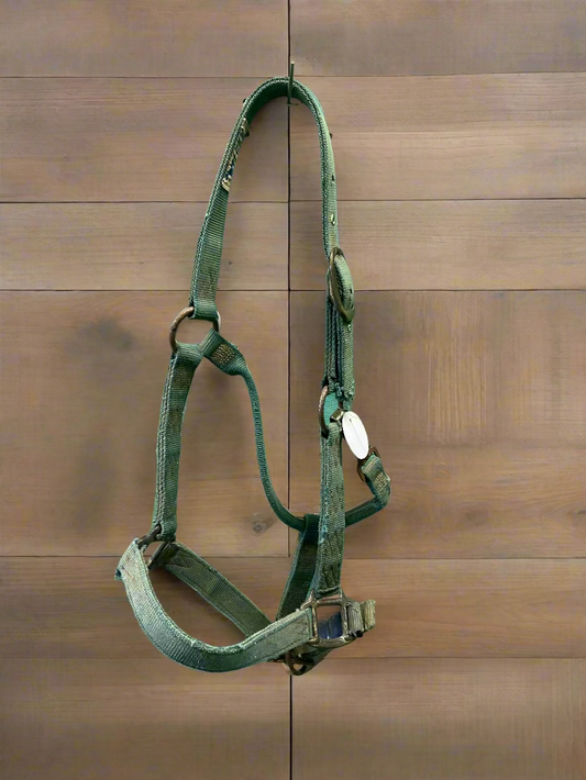 Nylon Halter- Horse