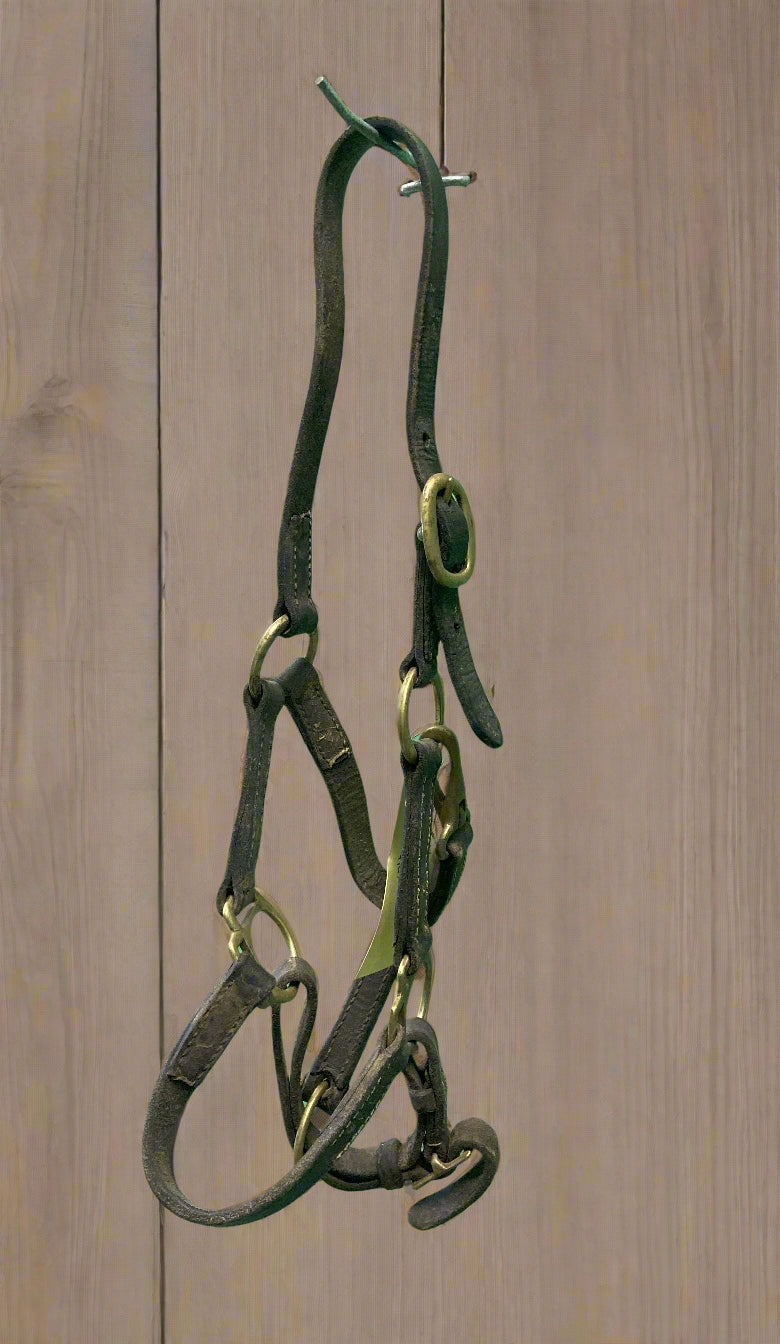 Leather Halter- Foal