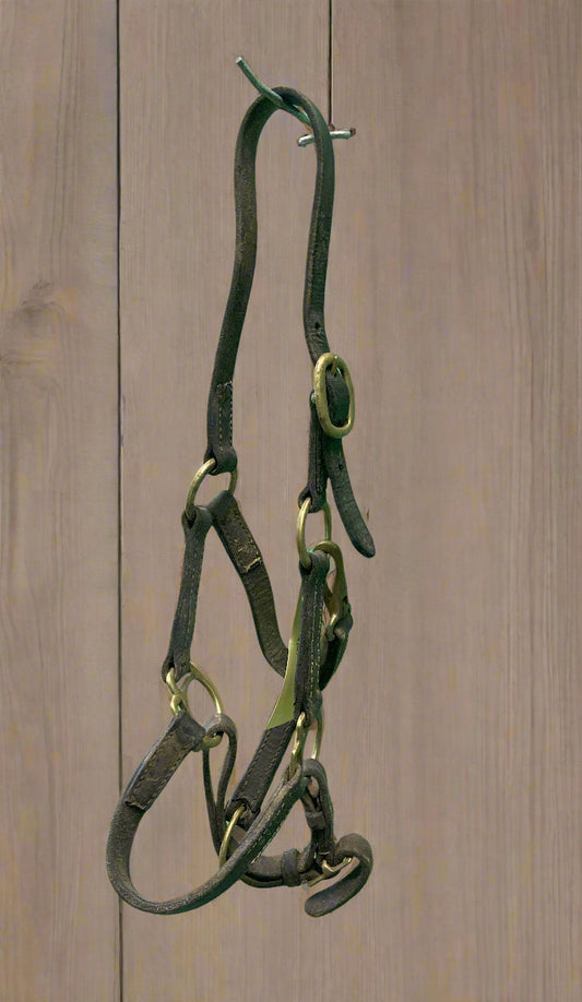 Leather Halter- Foal