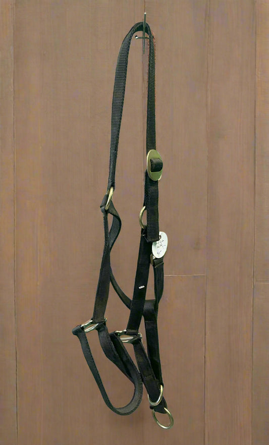 Nylon Halter- Warmblood/Draft