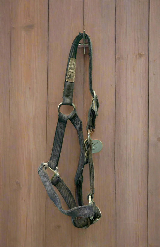 Nylon Halter- Yearling