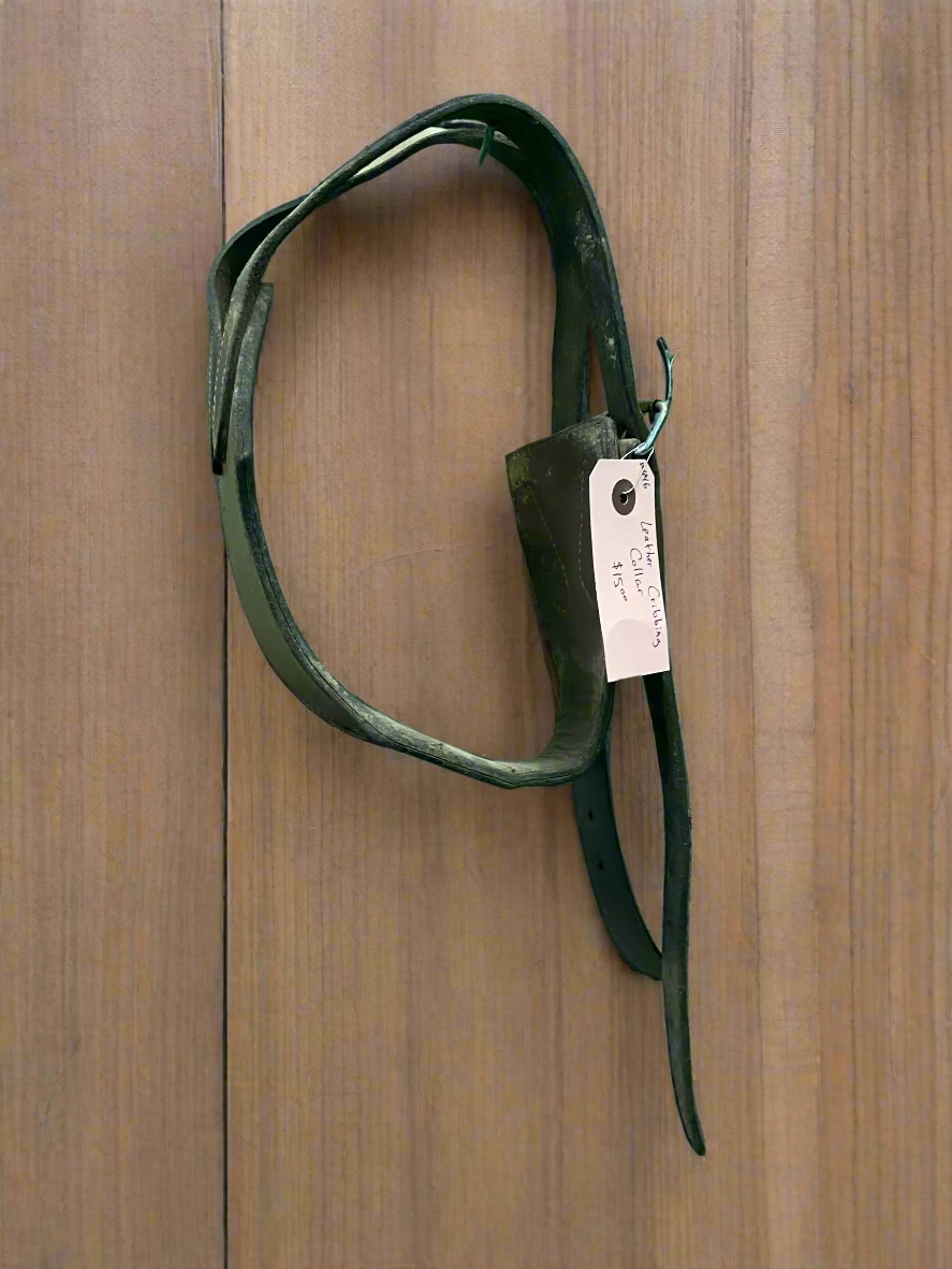 Leather Cribbing Collar