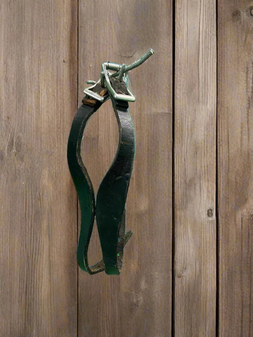 Stirrup Hobbles