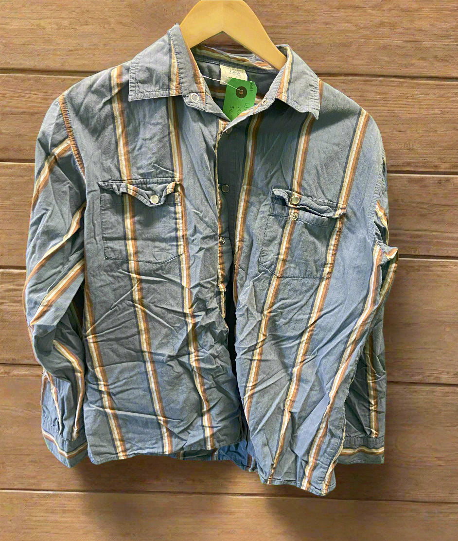 Blue Tan Stripe Western Shirt