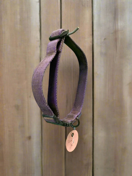 Hamilton Purple Collar