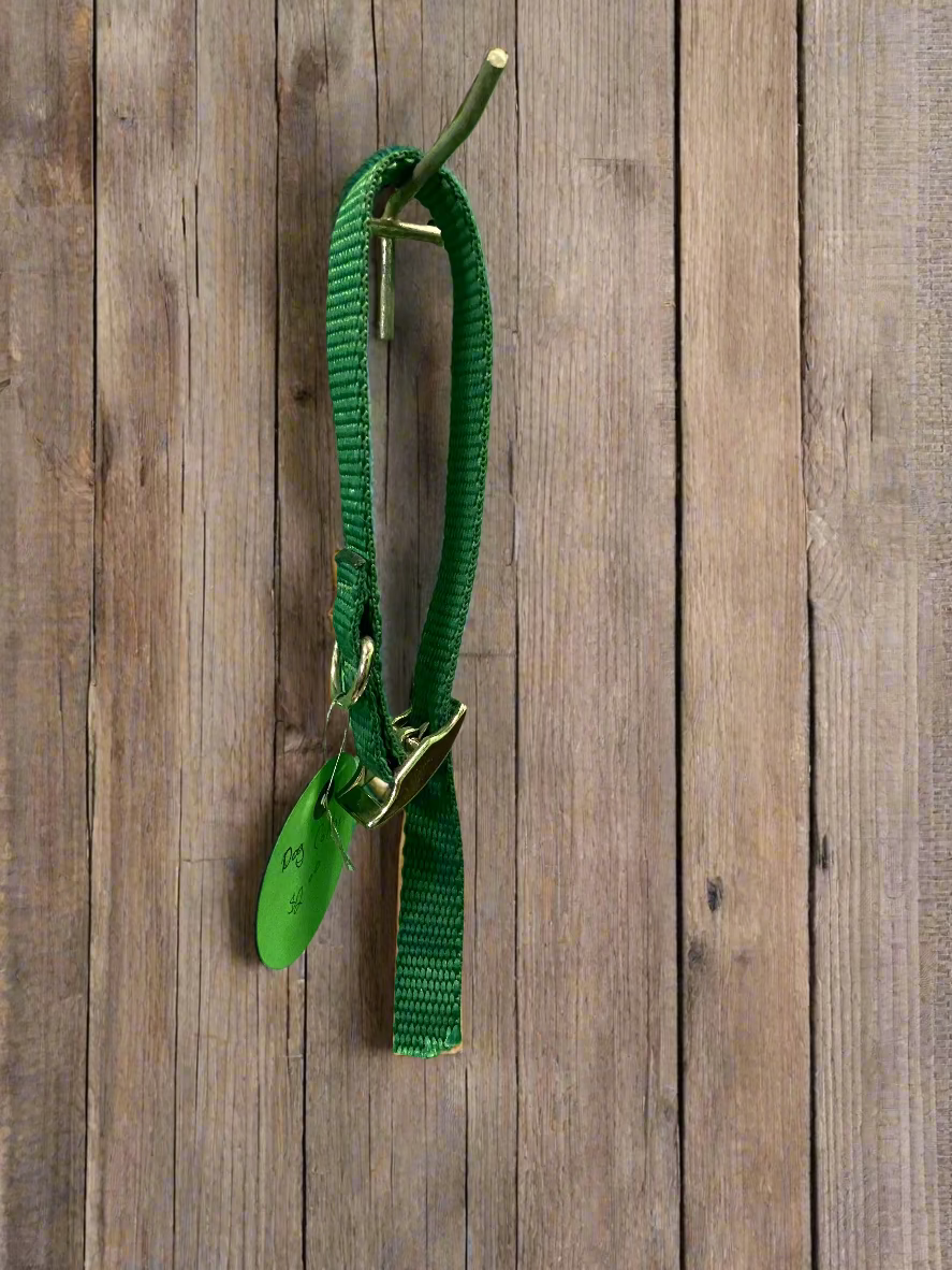 Green Dog Collar