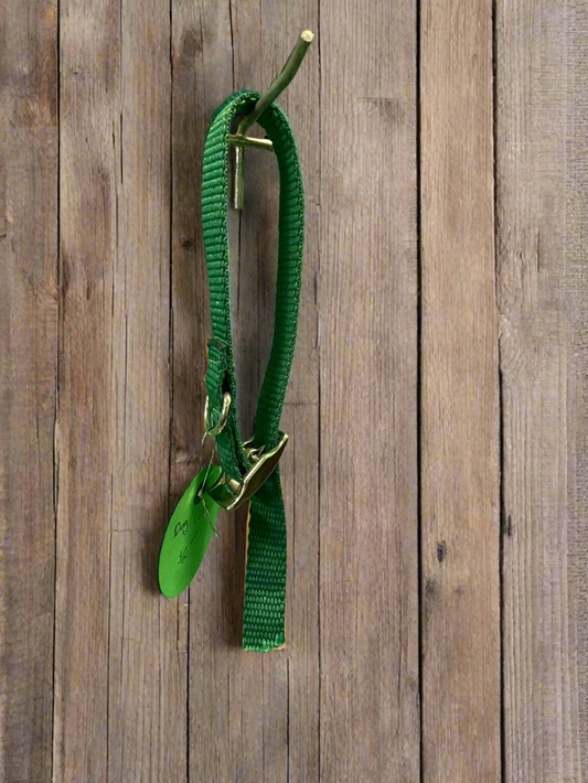 Green Dog Collar