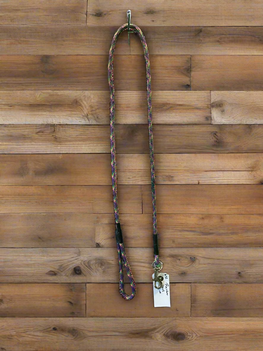 Rainbow Leash
