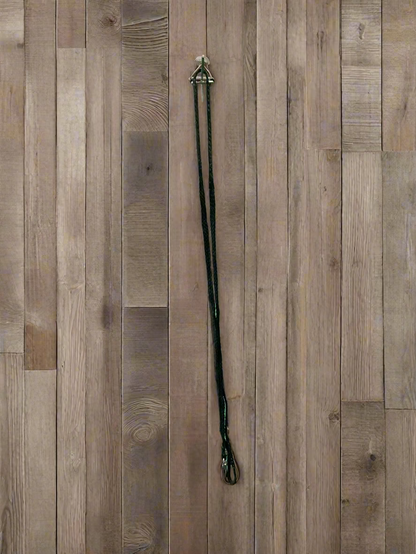 Pet Leash