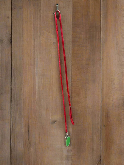 Pet Leash