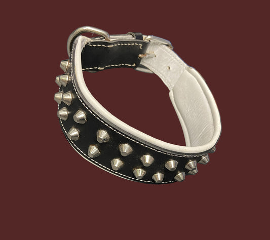 Studded Leather Collar w/Padding