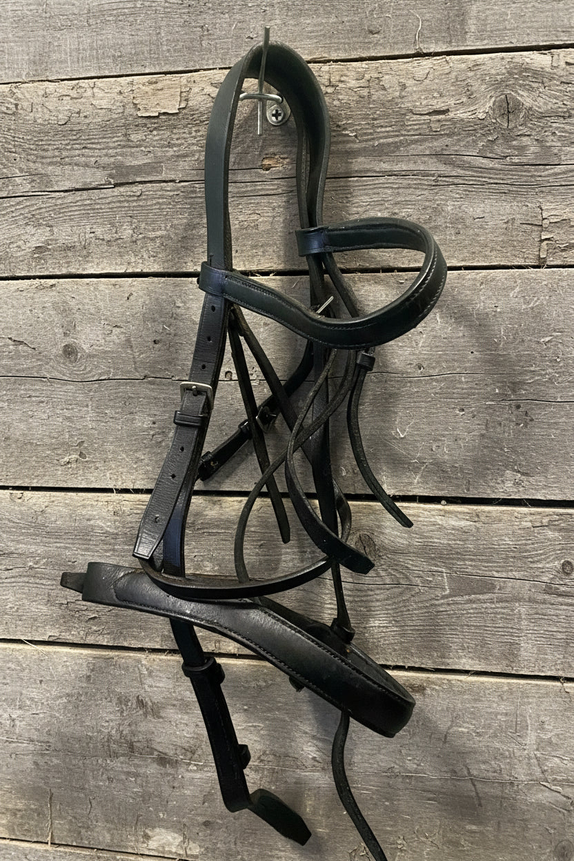 Bride anglaise pour poney noir