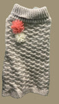 Cardigan pour chien