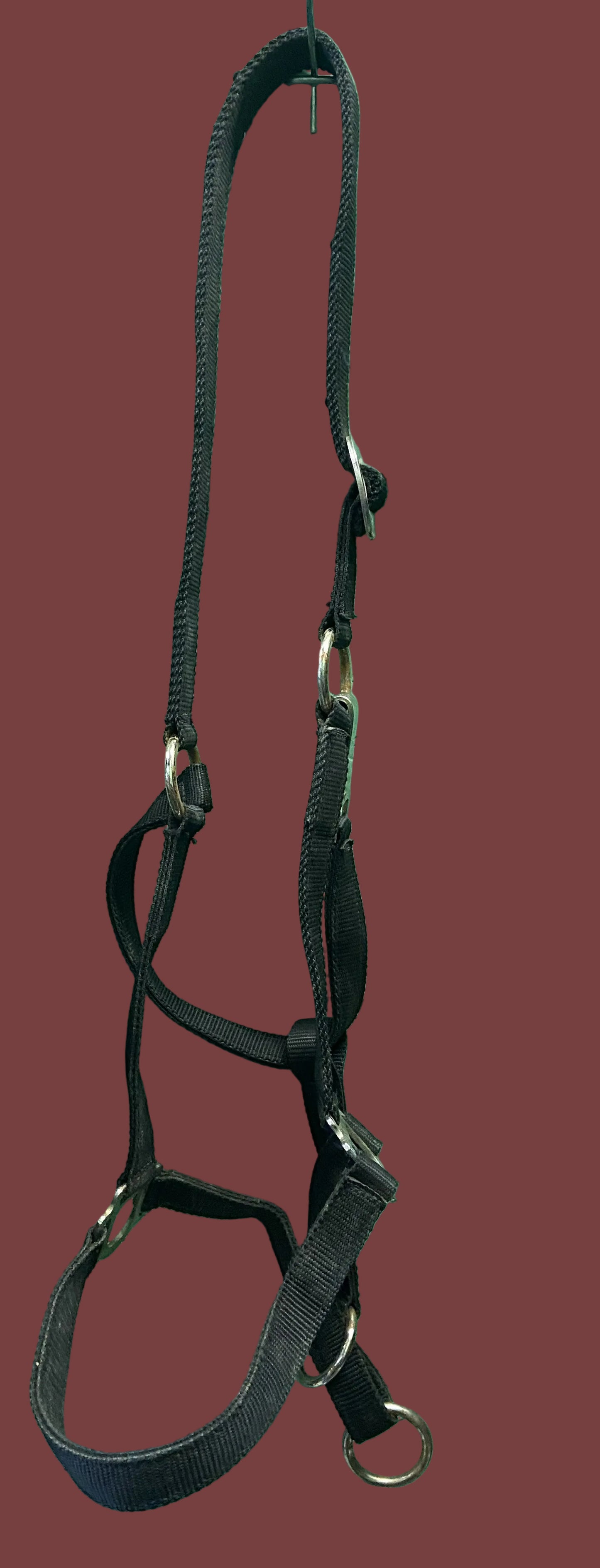 Martin Nylon Draft Halter
