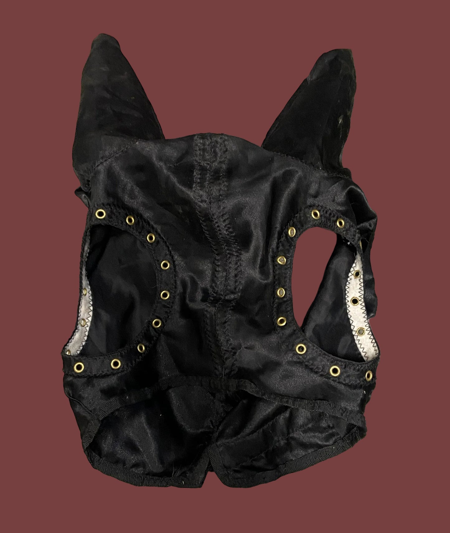 Capuche avec oreillettes