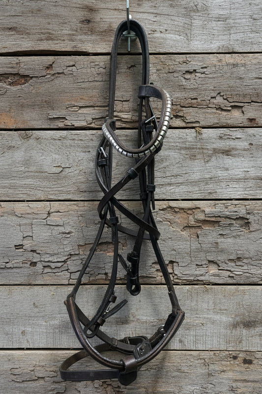 Bridle w/Chrome and Flash