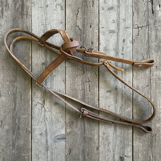 Futurity Knot Headstall