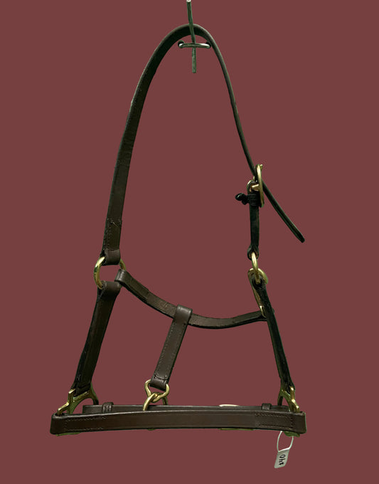 Leather Foal Halter