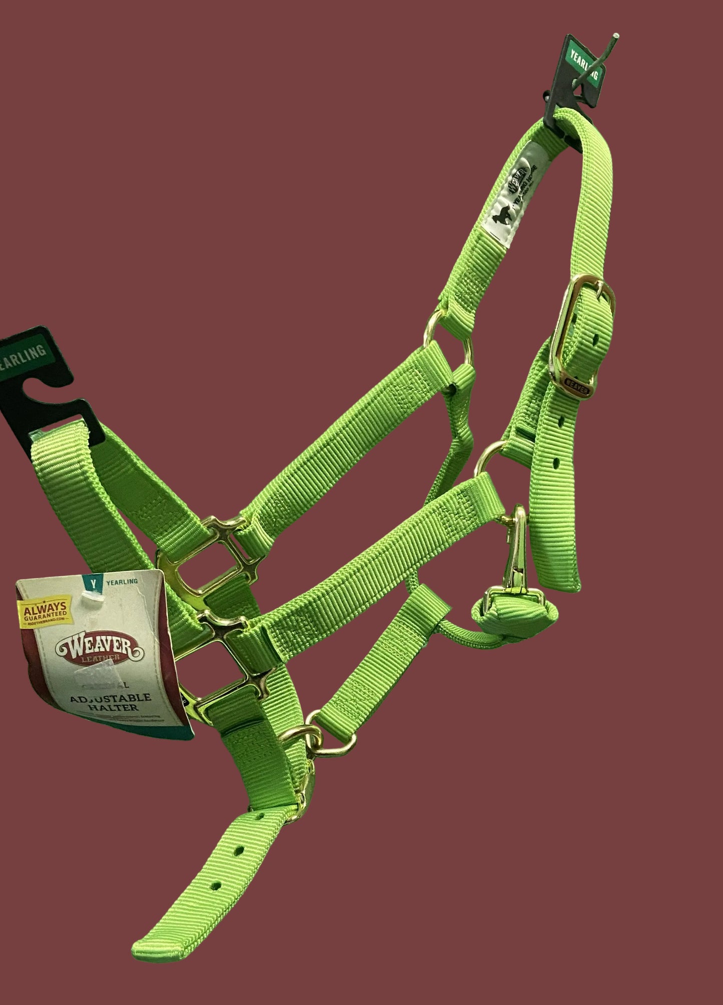 Licol Weaver Yearling