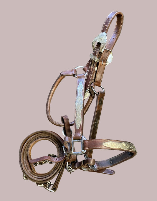 Show Halter- Horse