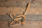 Peach Yearling Halter