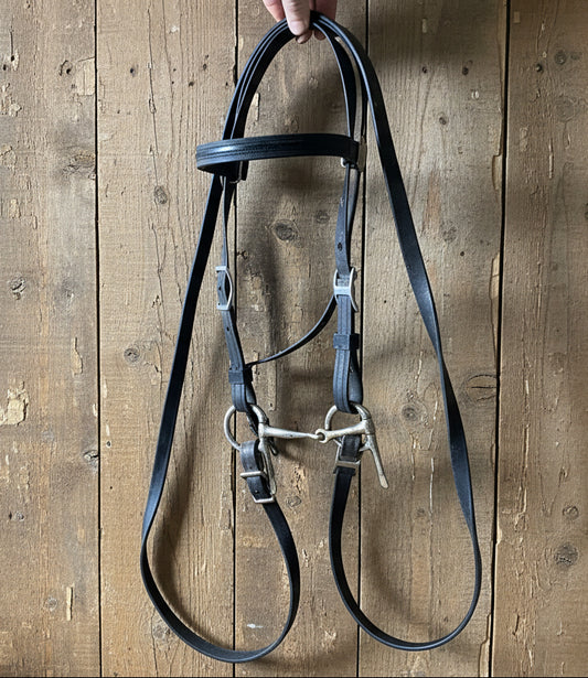 Biothane Small Pony/Mini Headstall w/Bit & Reins