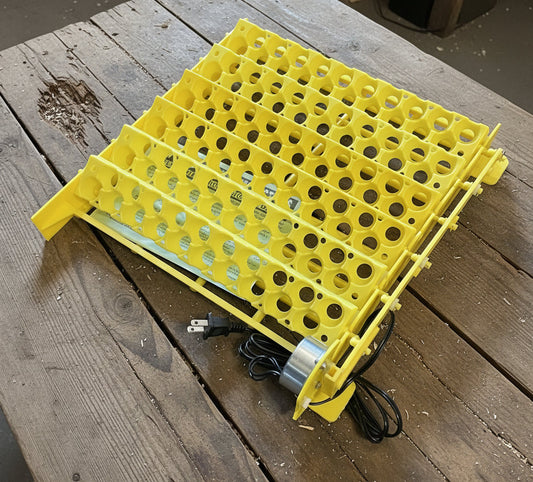 Quail Egg Turner