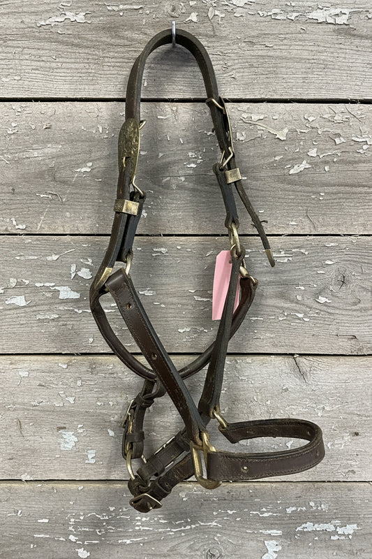 Horse Show Halter