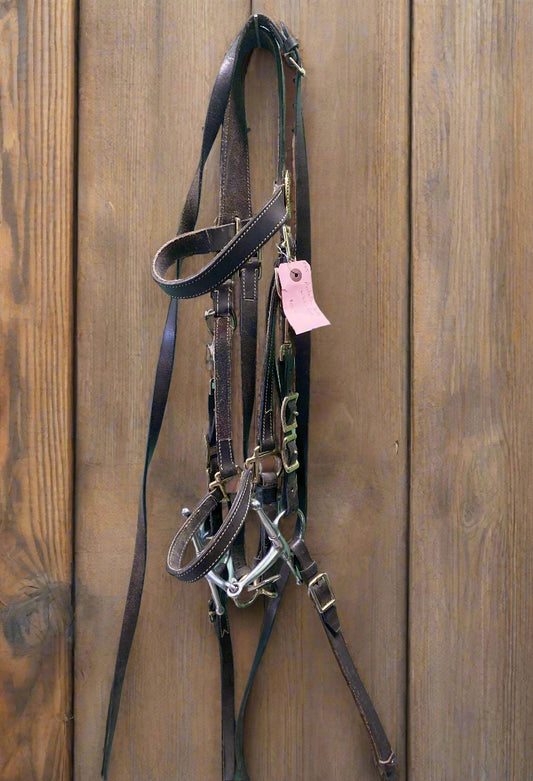 Australian Outback Combo Bridle
