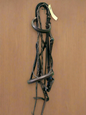 Cob Bridle with Laced Reins