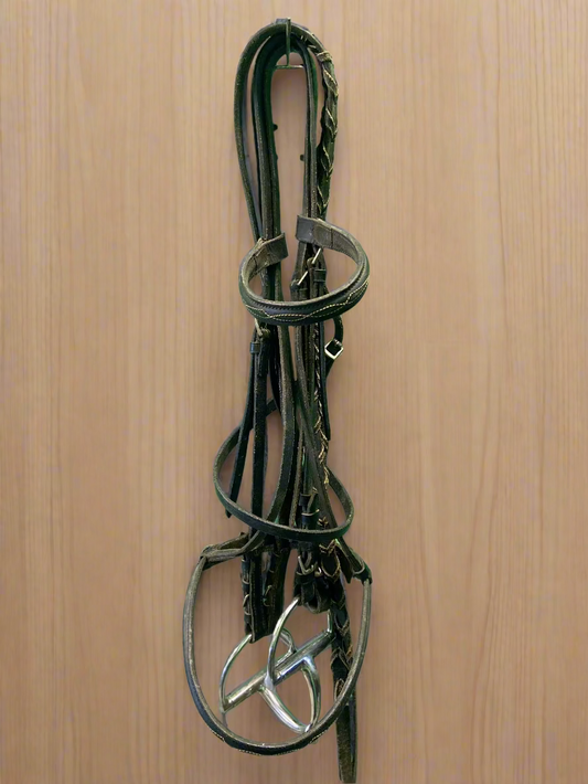 Fancy Stitch Bridle w/Reins & Bit