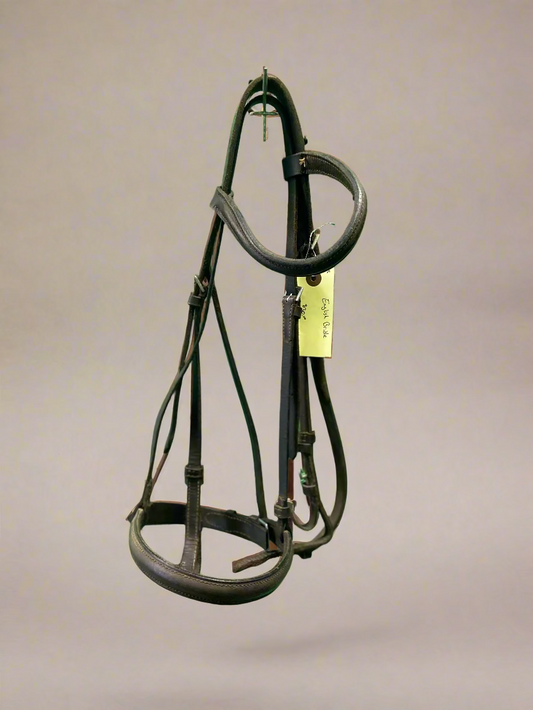 Raised Bridle