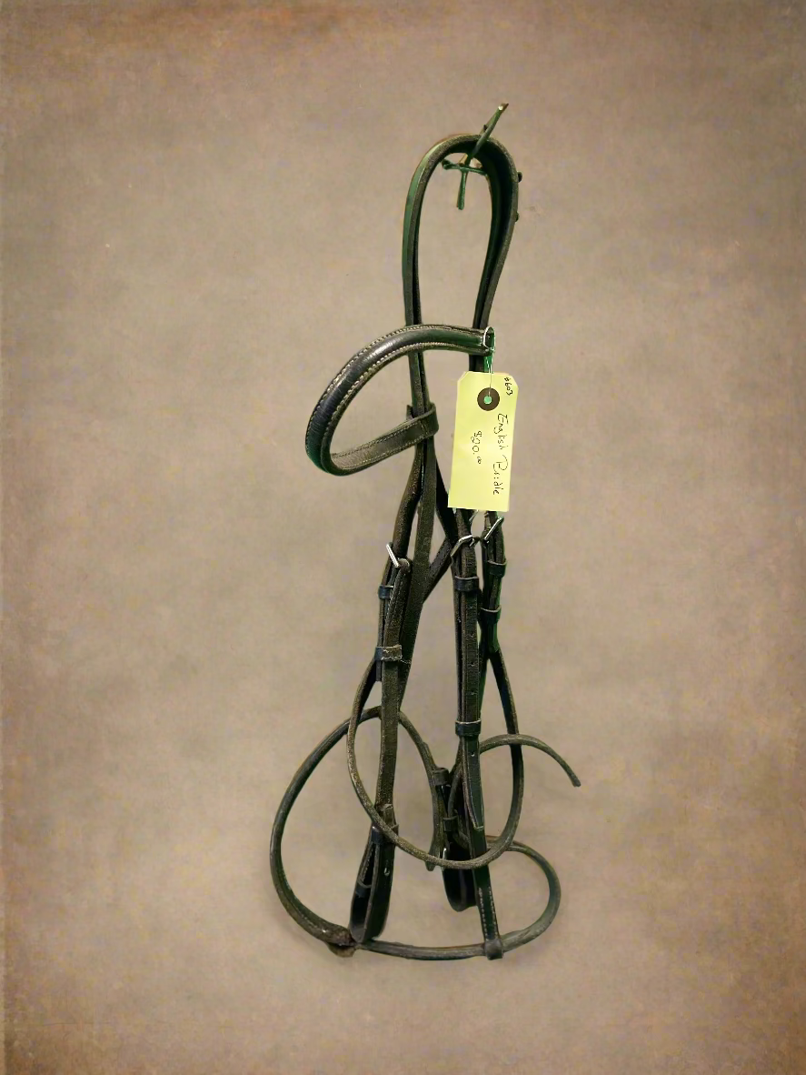English Bridle