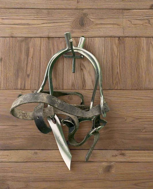 Prince of Wales Spurs & Straps