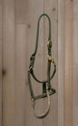 Leather Halter- Warmblood
