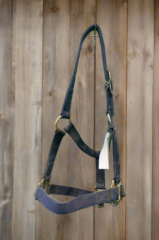 Nylon Halter- Pony