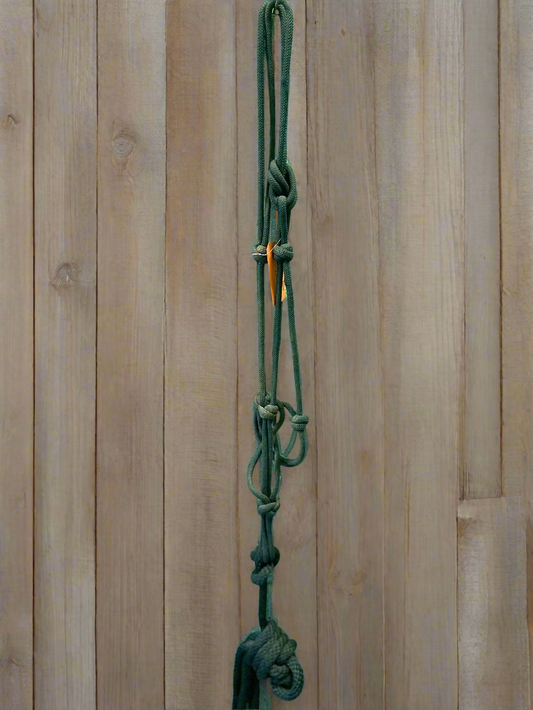 Rope Halter w/Lead