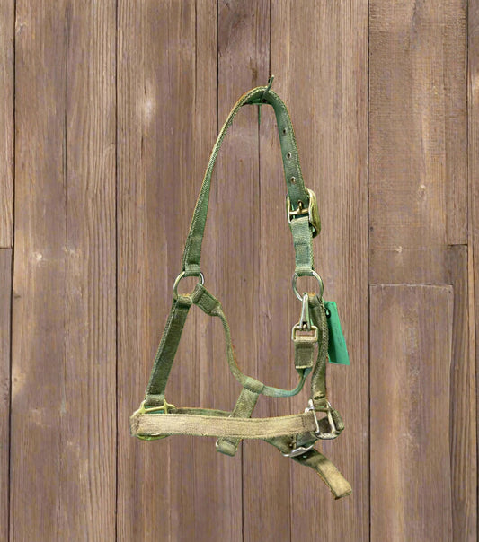 Nylon Halter-Cob