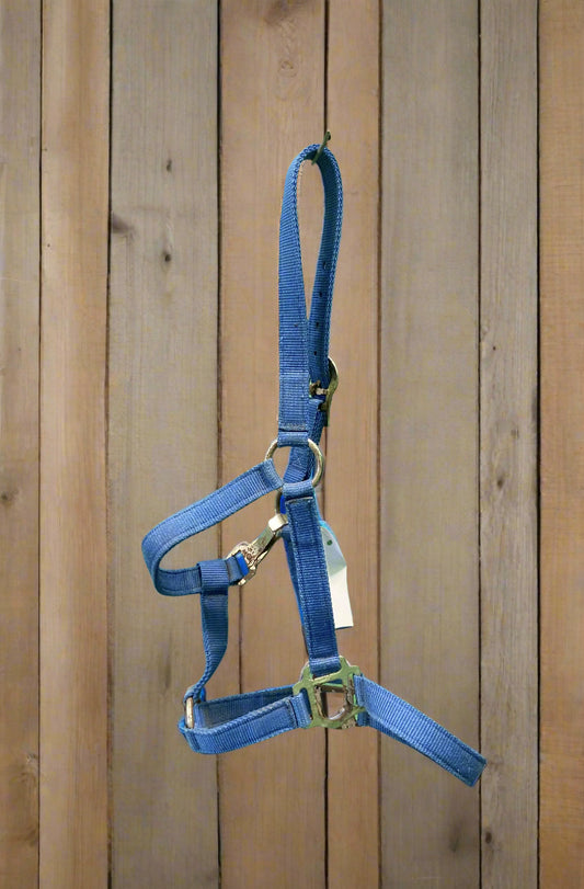 Nylon Halter- Yearling