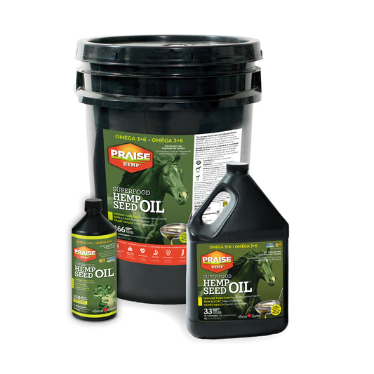 Praise Hemp Oil 4L
