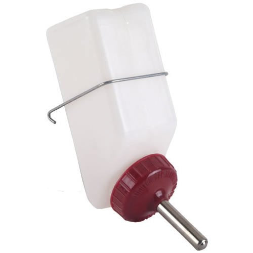 Water Bottle 16oz